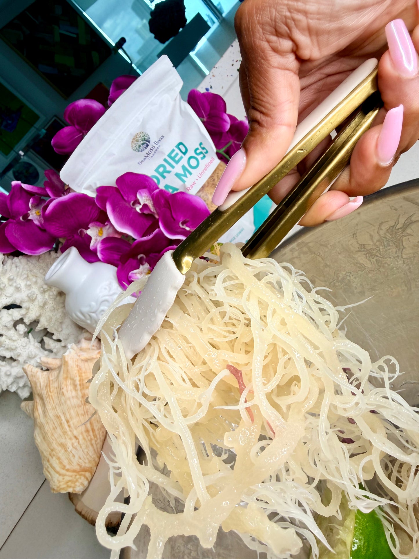 Hibiscus infused Sea Moss Gel DIY kit | Makes 32oz Gel