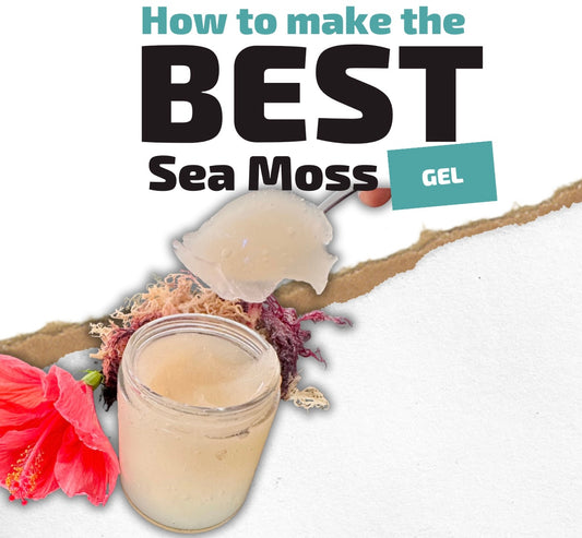 How to make the best Sea Moss gel
