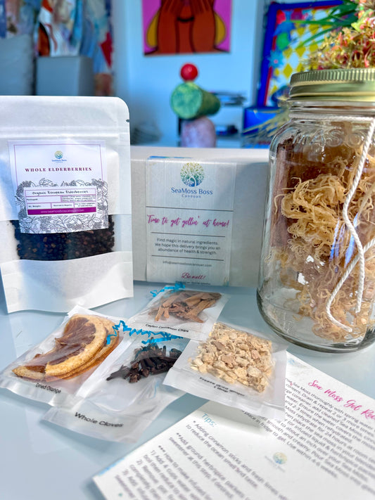 Elderberry infused Sea Moss Gel DIY kit