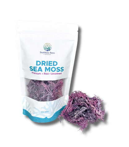 Purple Sea Moss