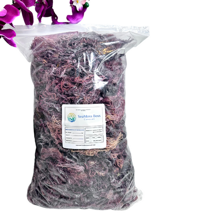 Purple Sea Moss Bulk