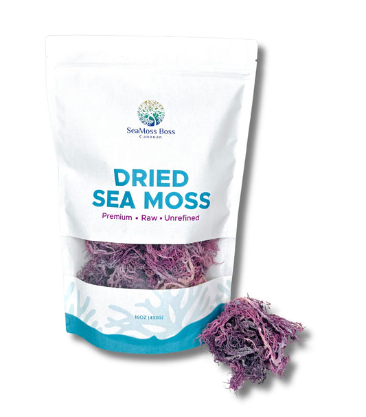 Purple Sea Moss