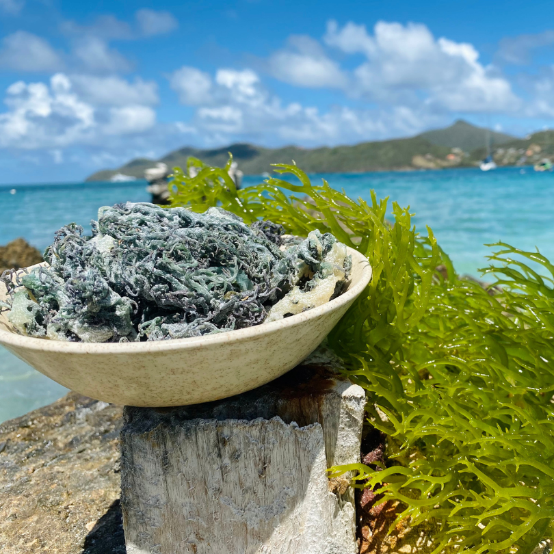 Green Sea Moss Bulk