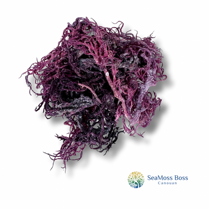 Purple Sea Moss Bulk