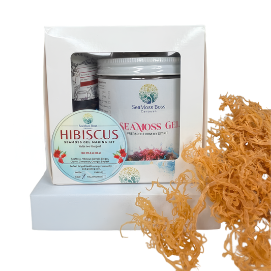 Hibiscus infused Sea Moss Gel DIY kit | Makes 32oz Gel