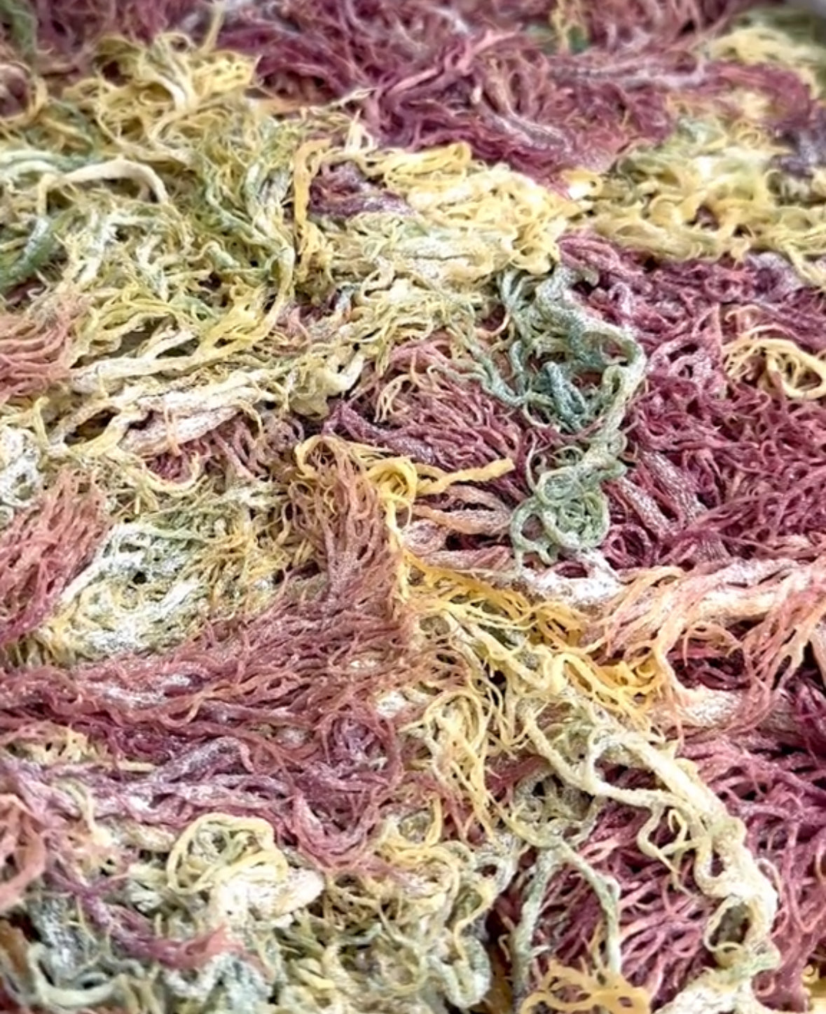 Full Spectrum Sea Moss Bulk