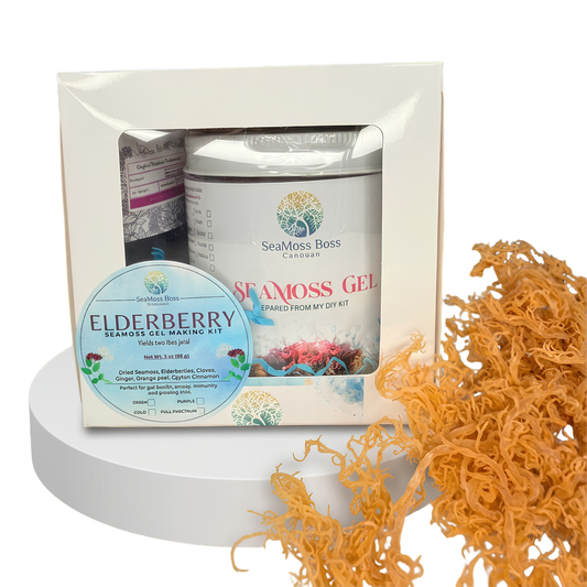 Elderberry infused Sea Moss Gel DIY kit | Makes 32oz Gel