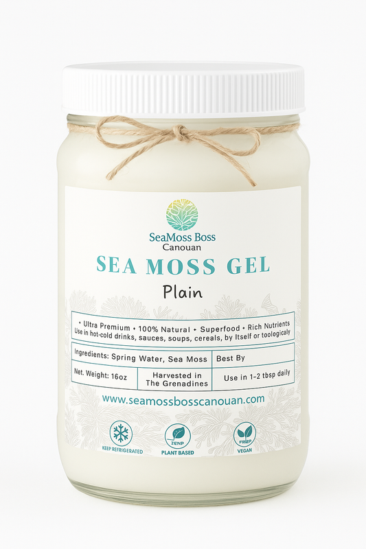 Plain SeaMoss Gel