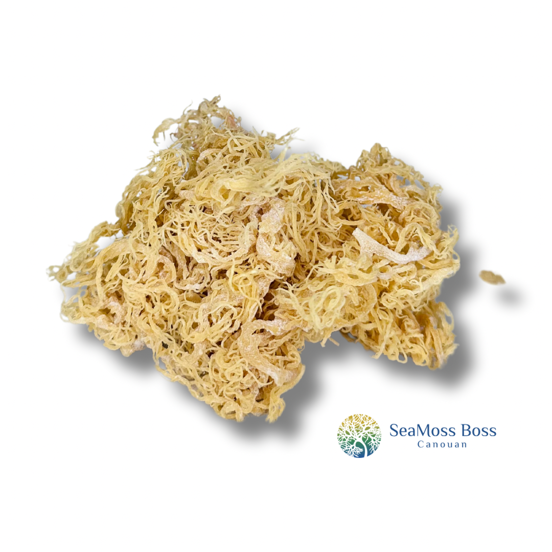 Gold Sea Moss Bulk