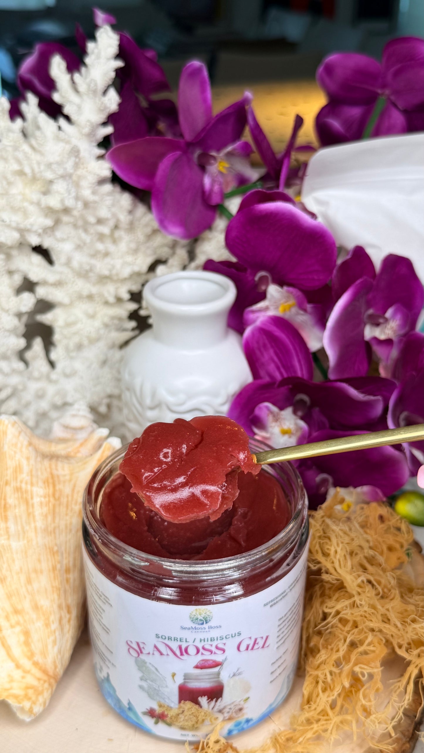 Hibiscus infused Sea Moss Gel DIY kit | Makes 32oz Gel