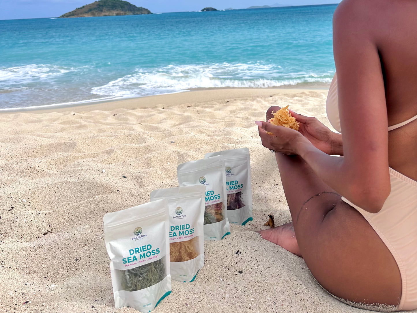 2lb Gift Bundle - 8oz each (Gold, Green, Purple, & Full Spectrum)