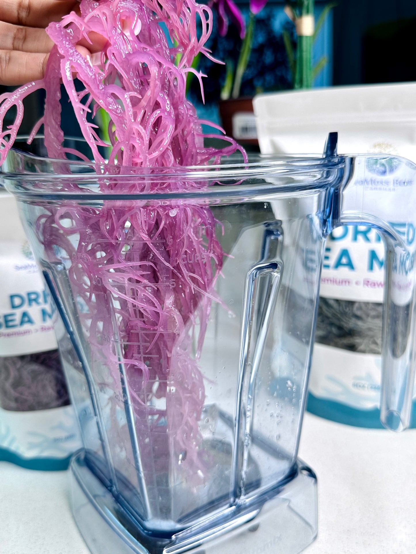 2lb Gift Bundle - 8oz each (Gold, Green, Purple, & Full Spectrum)