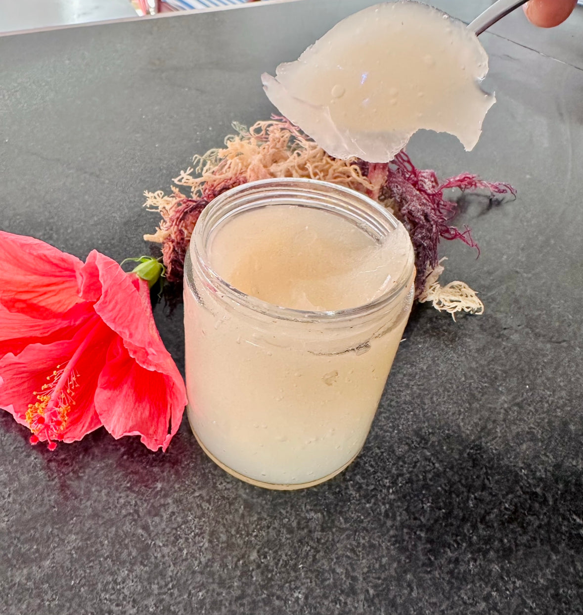 Plain SeaMoss Gel 16oz