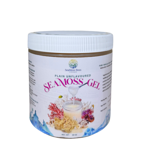 Plain SeaMoss Gel 16oz
