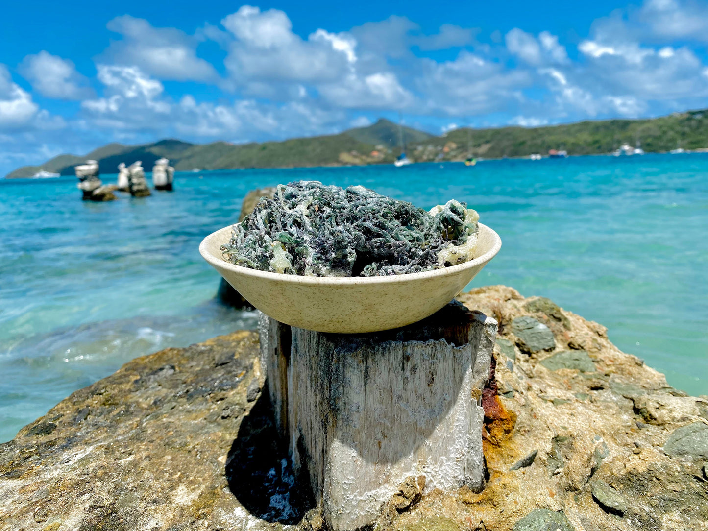 Green Sea Moss