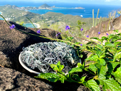 Green Sea Moss