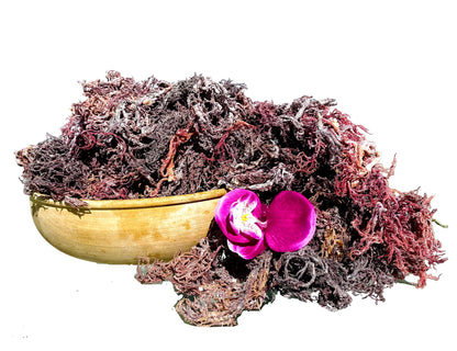 Purple Sea Moss Bulk