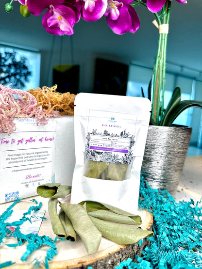 Soursop leaf infused Sea Moss Gel DIY kit | Makes 32oz Gel