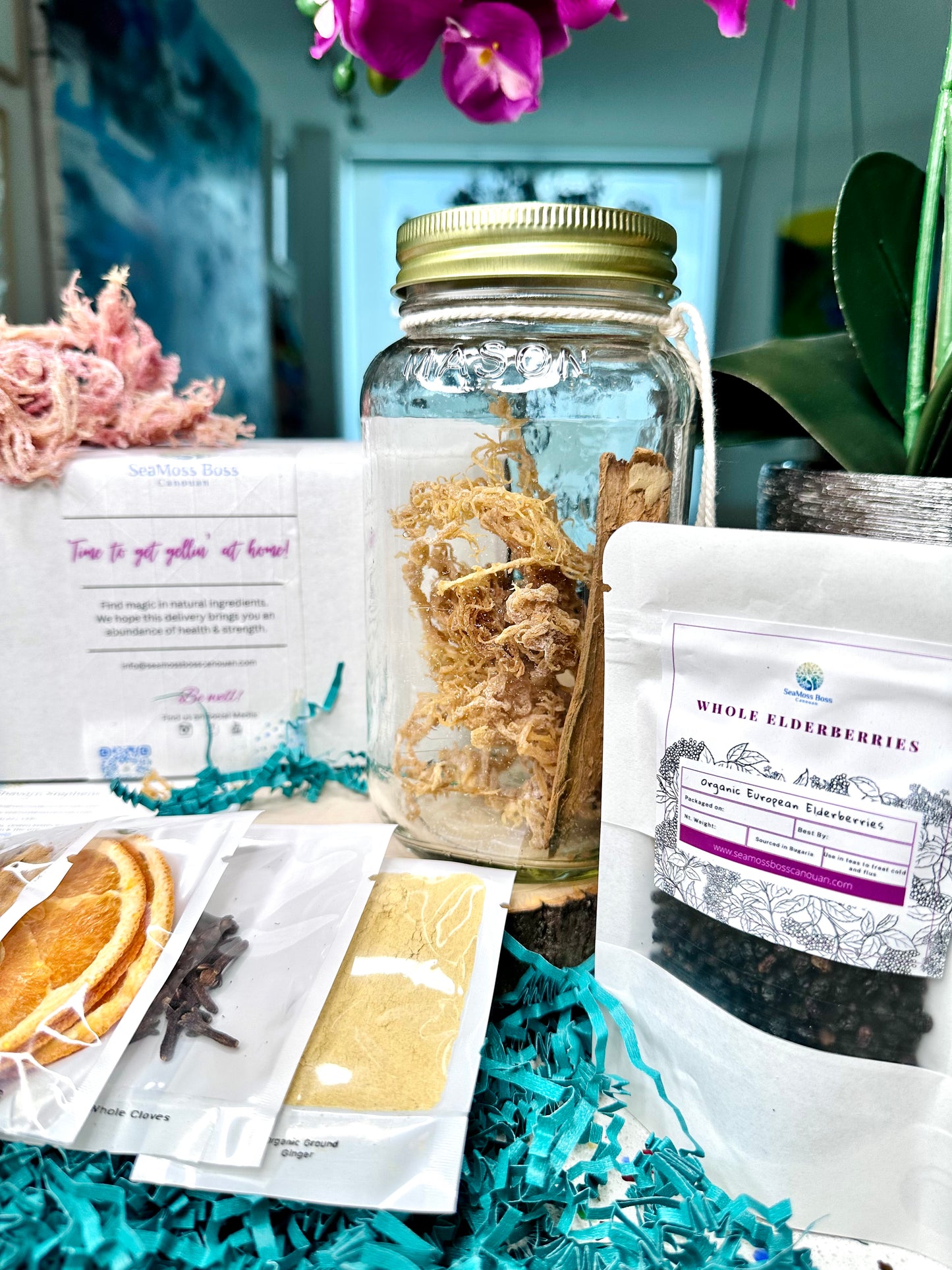 Elderberry infused Sea Moss Gel DIY kit