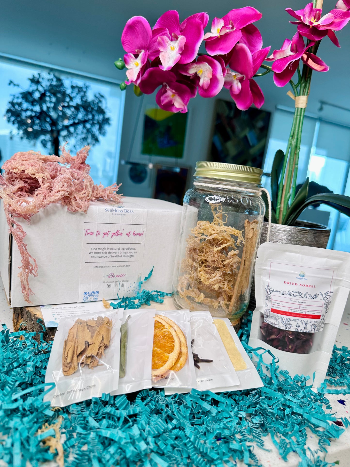 Hibiscus infused Sea Moss Gel DIY kit