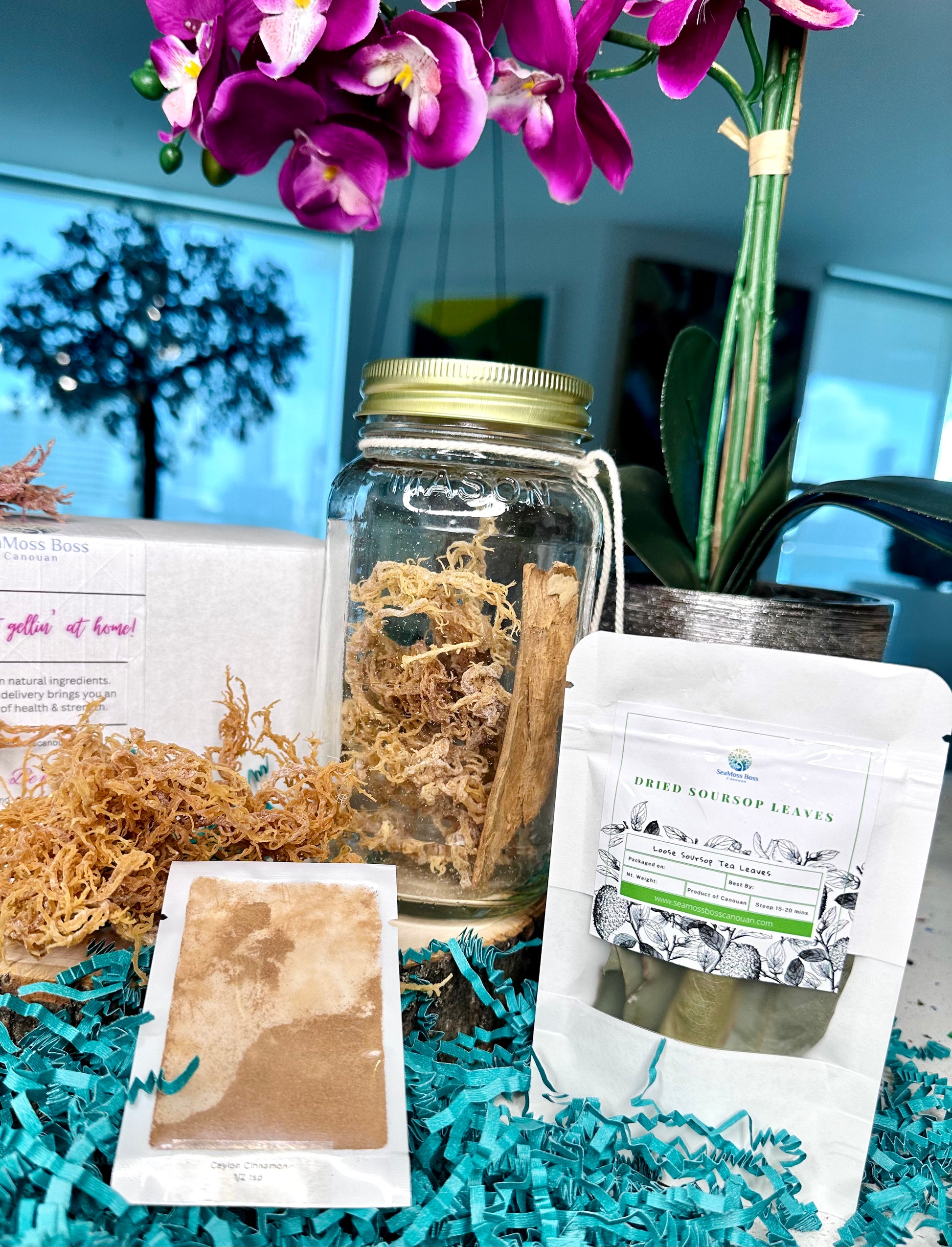 Soursop leaf infused Sea Moss Gel DIY kit – SeaMoss Boss Canouan