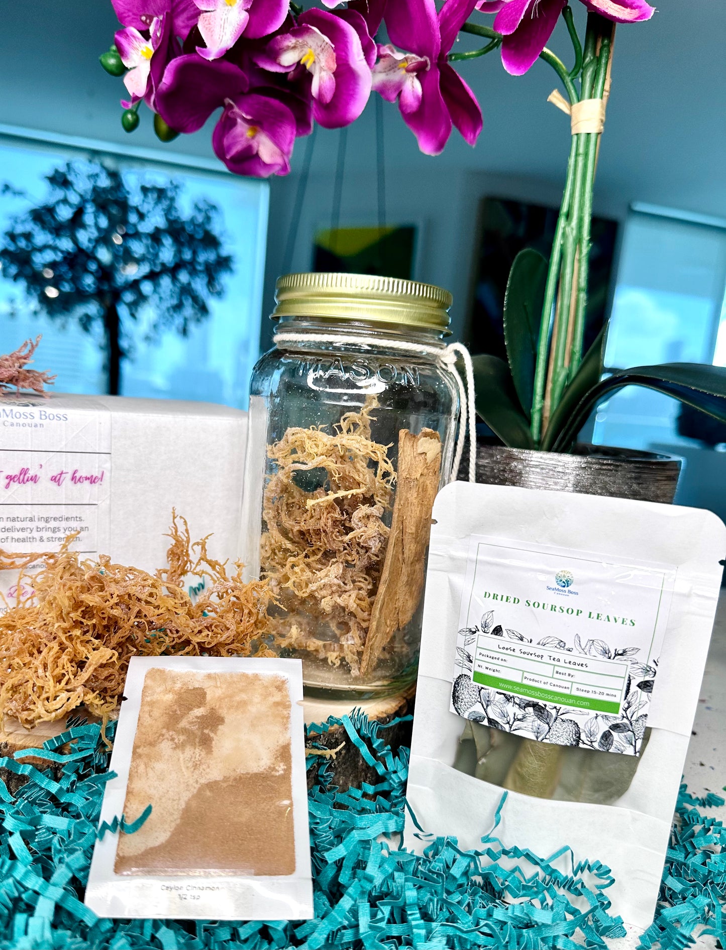 Soursop leaf infused Sea Moss Gel DIY kit