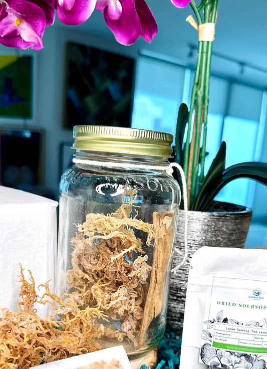 Soursop leaf infused Sea Moss Gel DIY kit