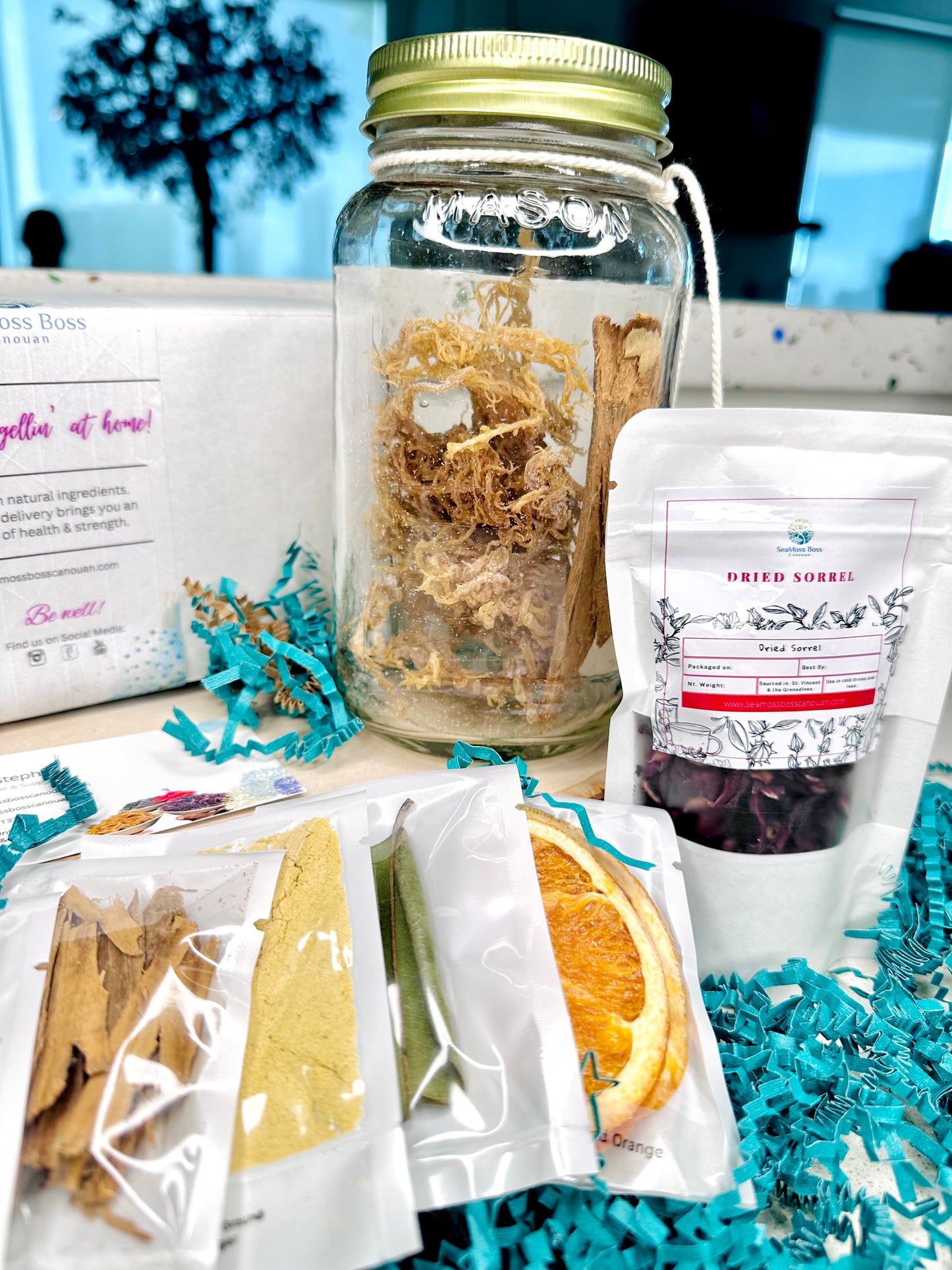 Hibiscus infused Sea Moss Gel DIY kit