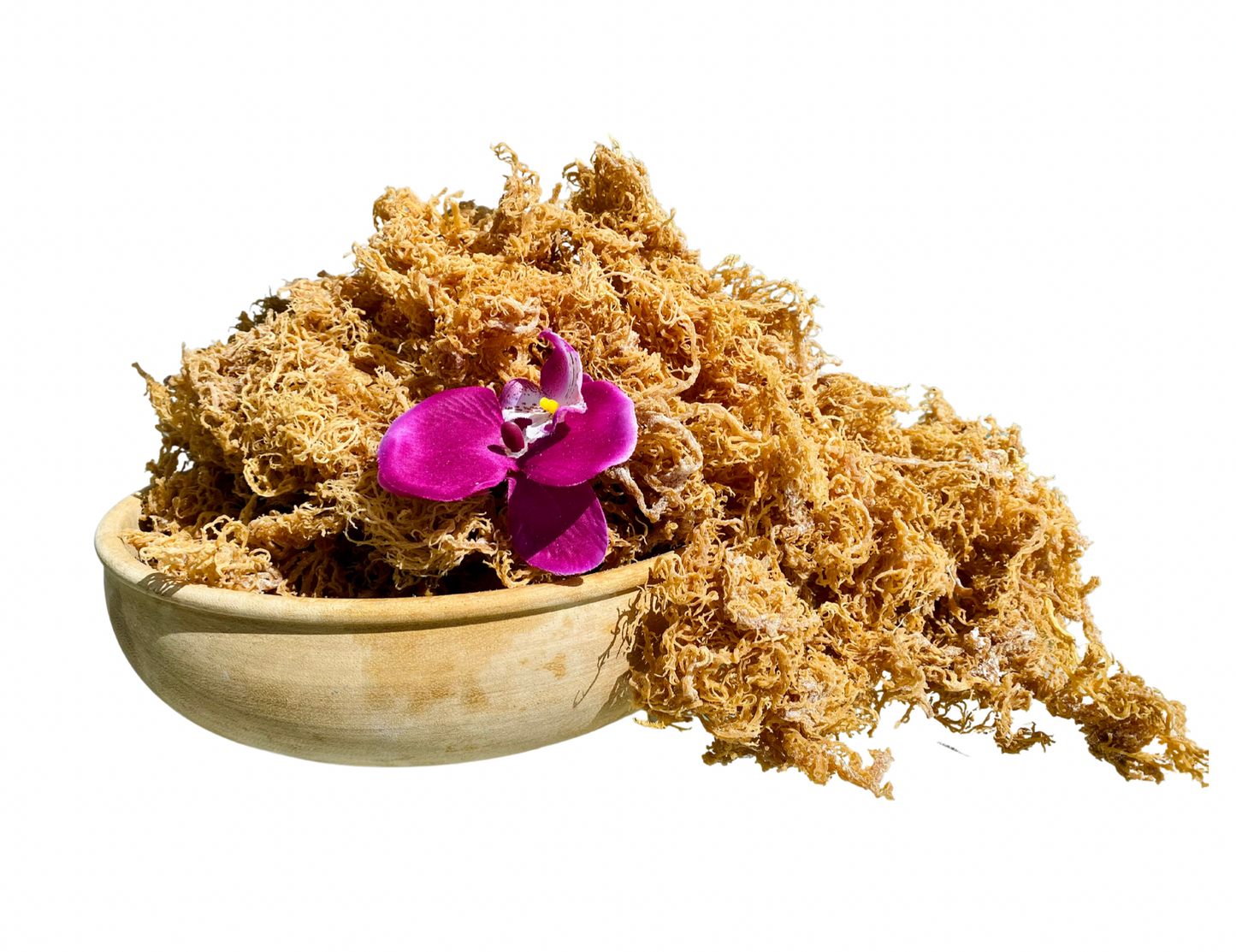 Gold Sea Moss Bulk